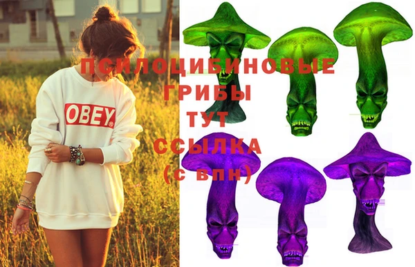 ешки Верея