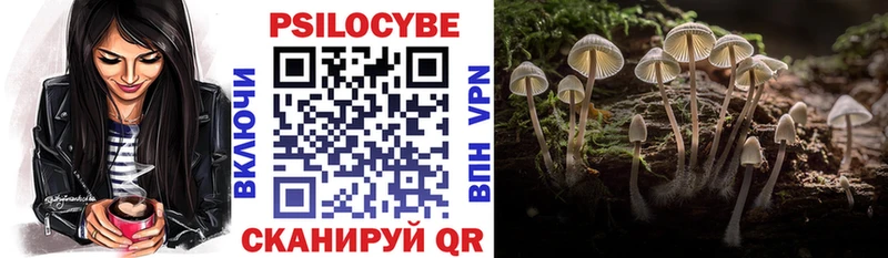 ссылка на мегу tor  Таганрог  Псилоцибиновые грибы Magic Shrooms 